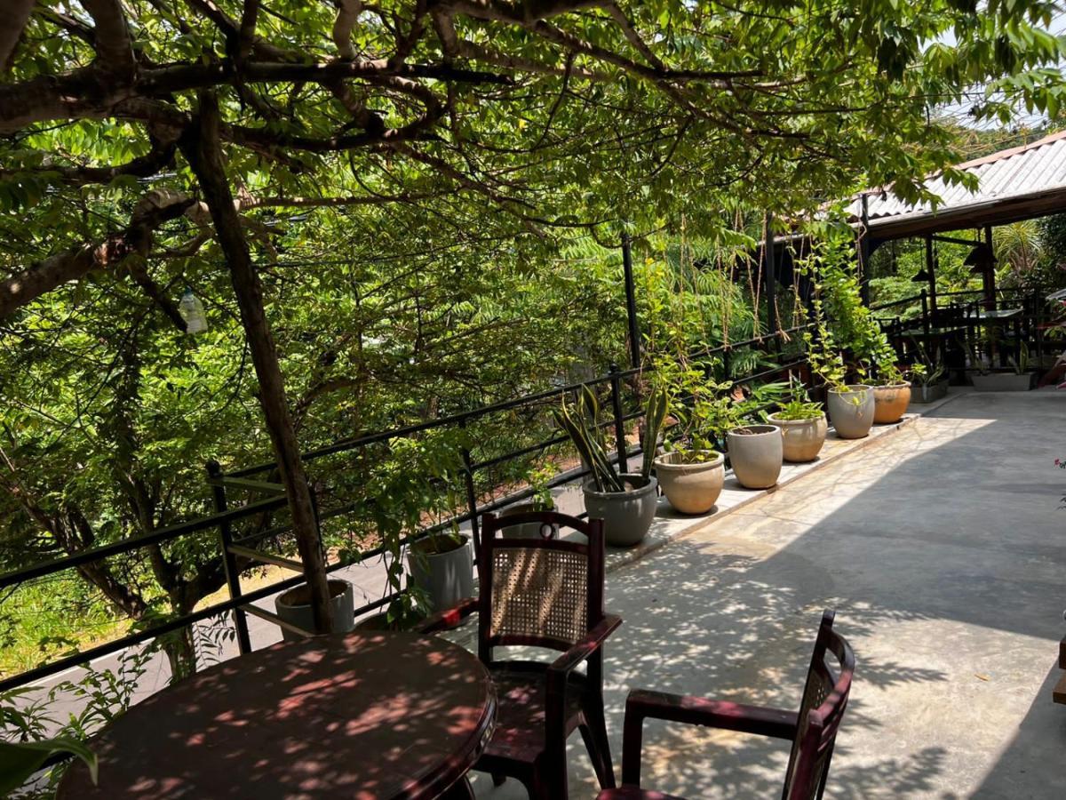 The Traveller'S Hostel & Private Rooms Sigiriya Exterior foto