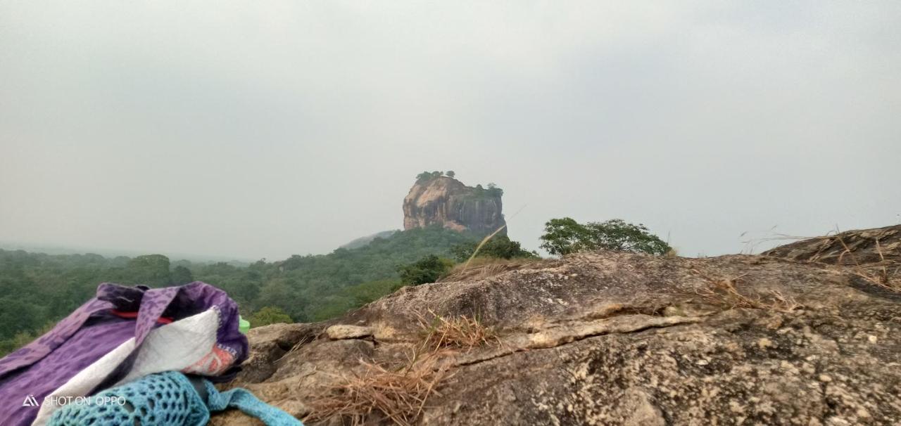 The Traveller'S Hostel & Private Rooms Sigiriya Exterior foto